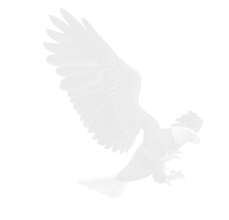 transparent eagle design